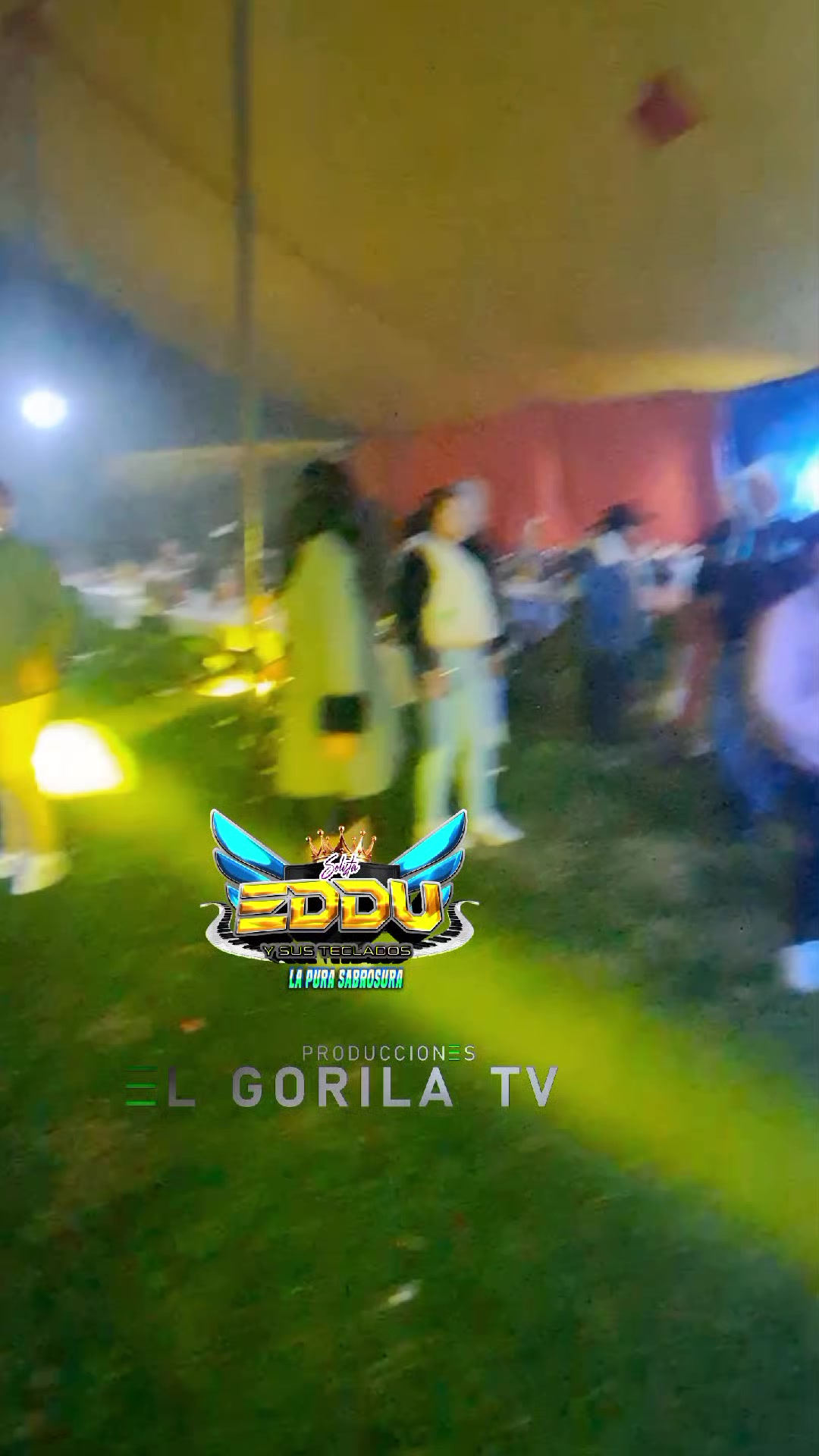 @produccioneselgorila