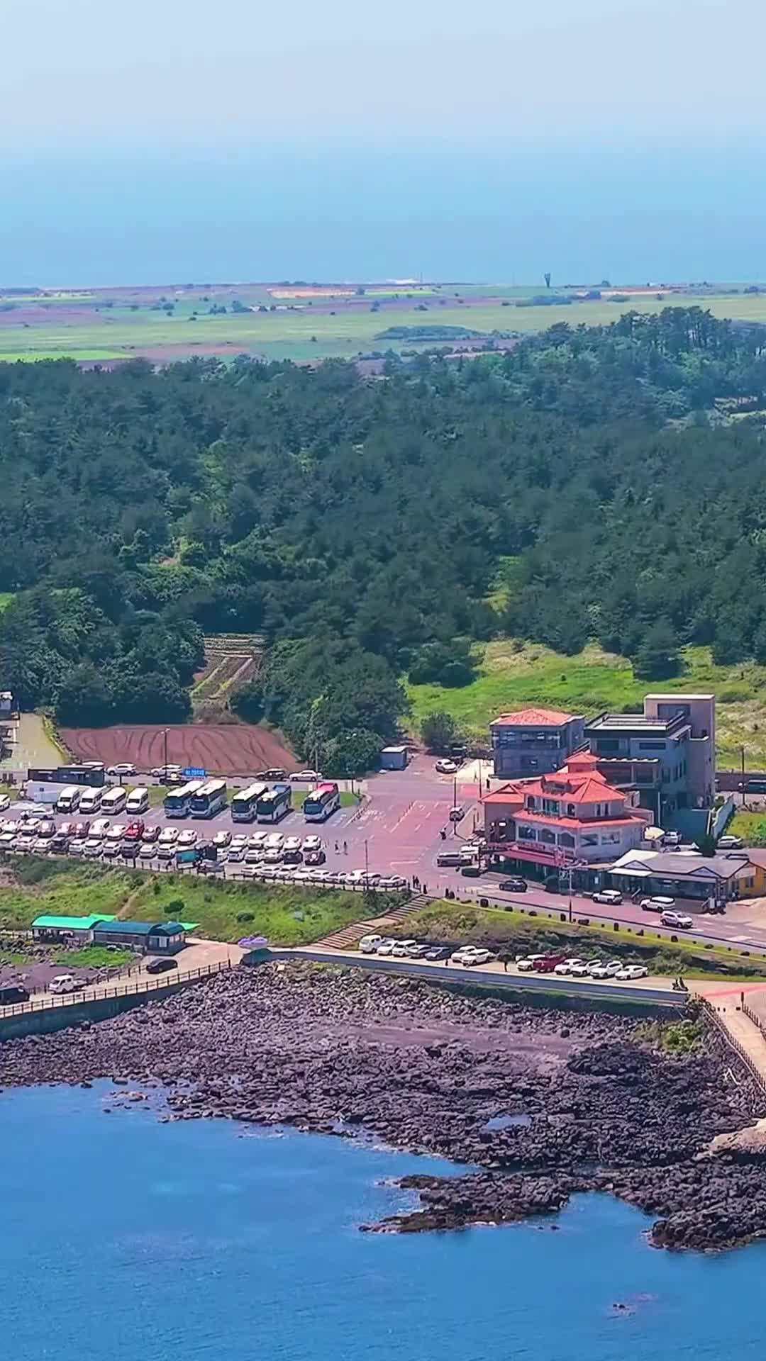 @베네딕트