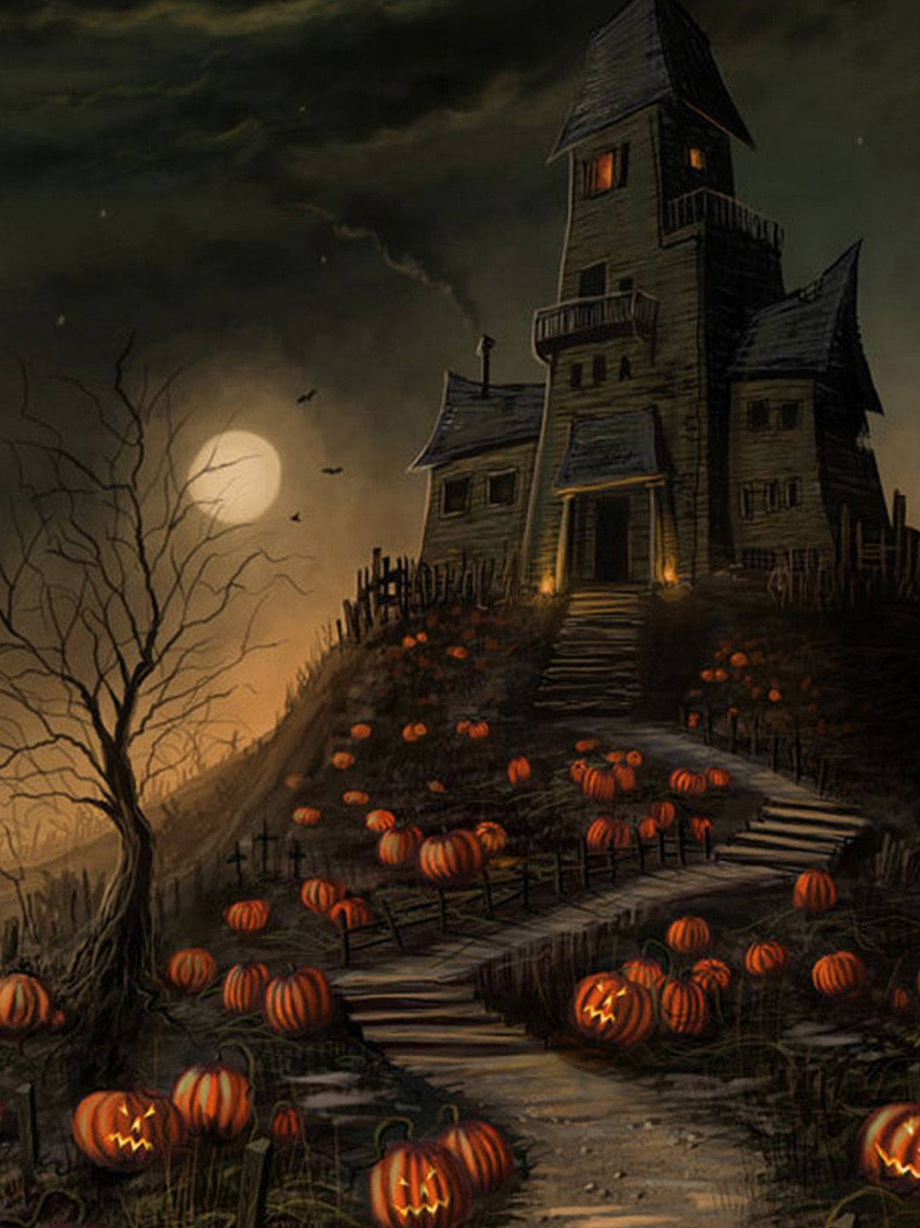 @Christmas & Halloween Finds