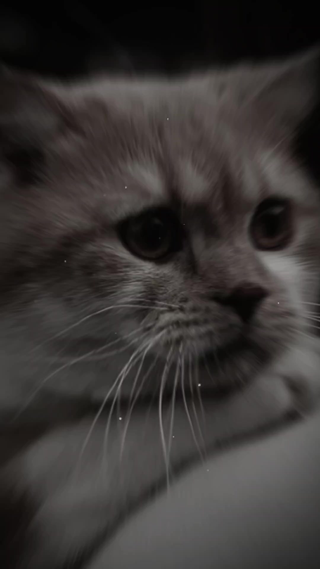 @𝕊𝕔𝕙𝕠𝕠𝕝𝕚𝕟𝕘