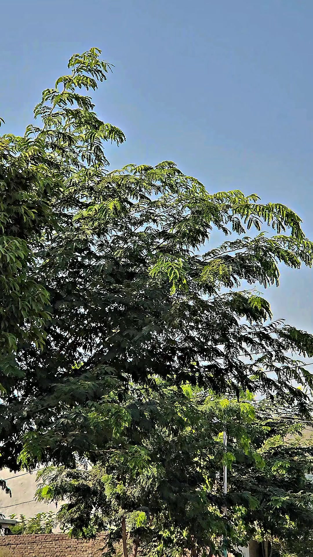 @⚜️گرمانی بلوچ⚜️