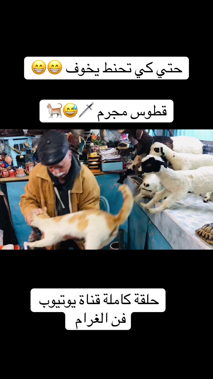 @سيف غرام زمان 🇹🇳