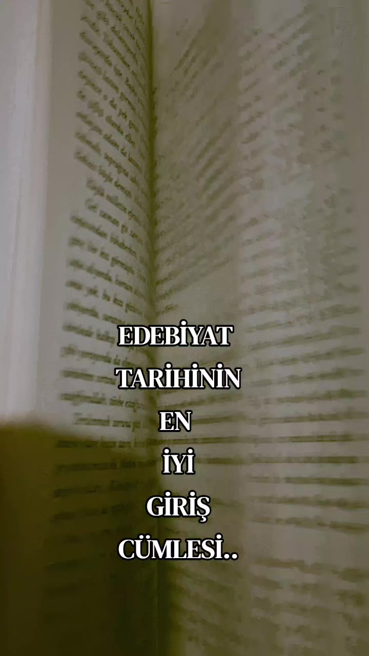 @firuzɛ⚘️