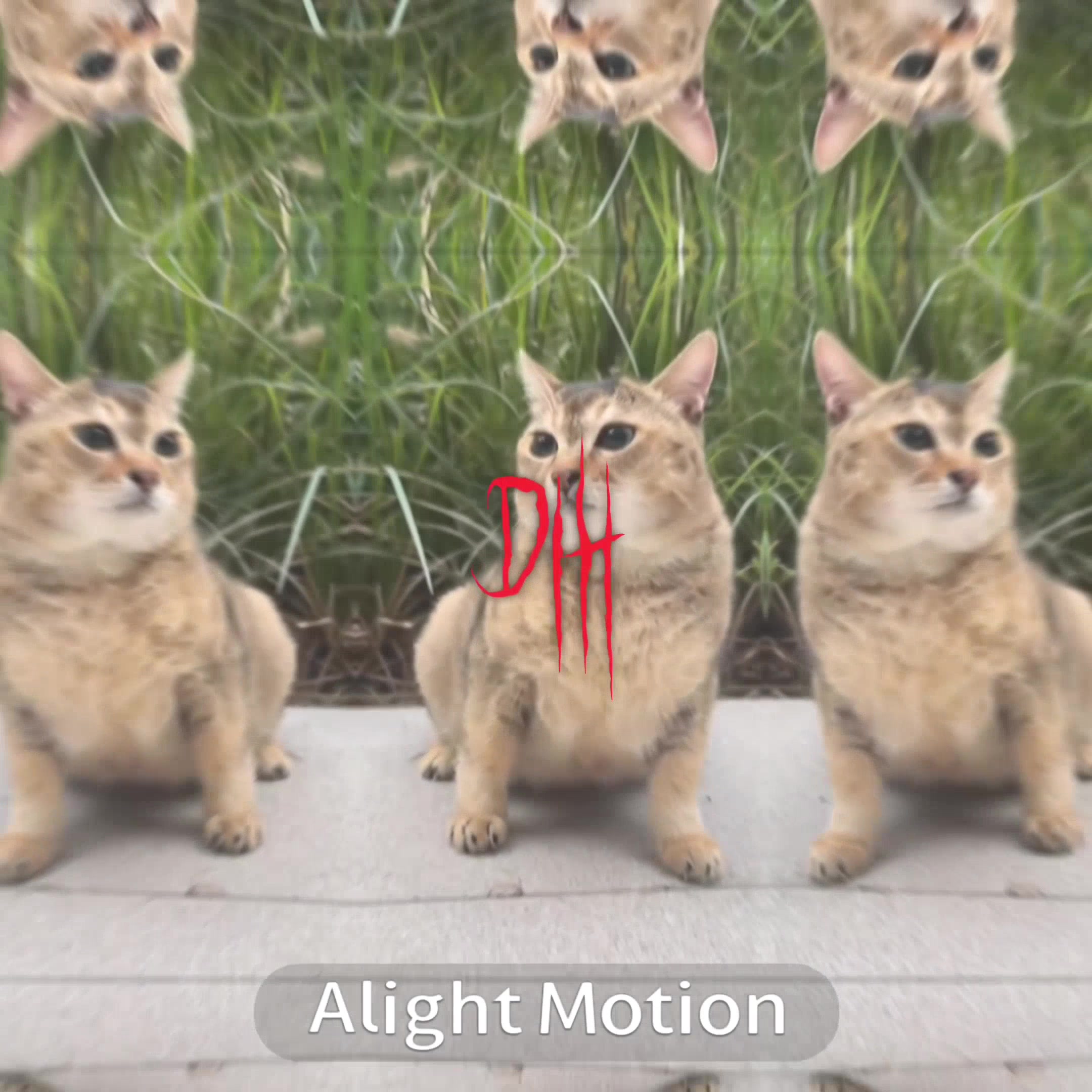 @|๐ฒ๐ฑ๐น โง ๐๐๐|