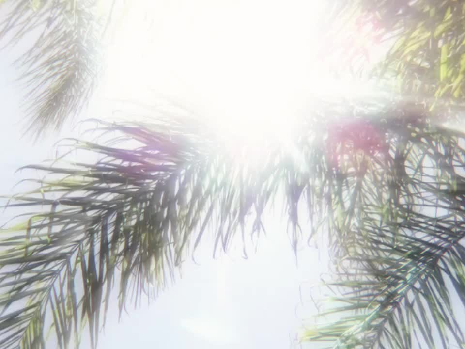@𝘿𝙄𝙂𝙄𝙏𝘼𝙇𝙄𝙎
