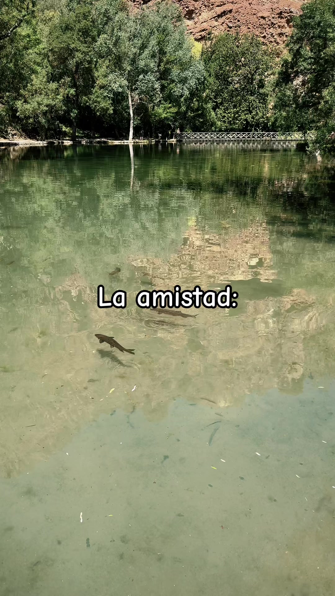 @🌺 𝓘𝓿𝓪𝓷𝓬𝓪 🌺