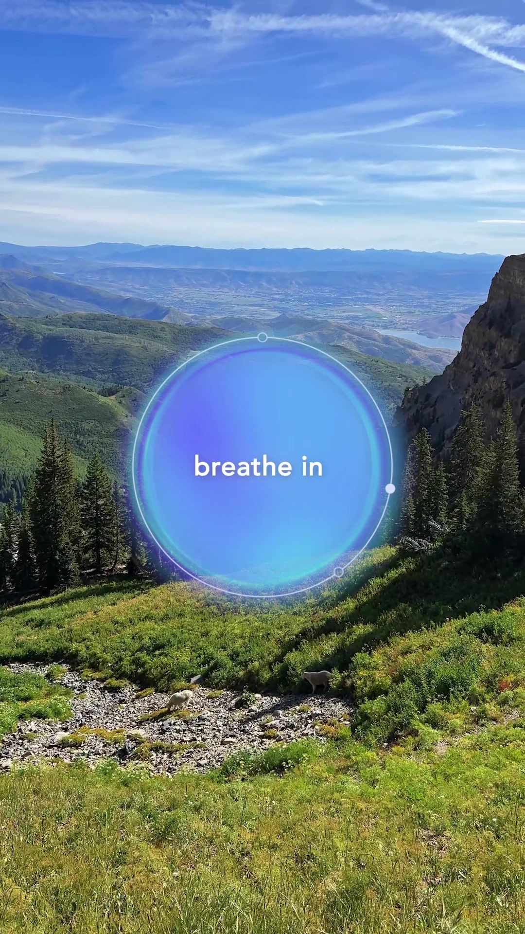 @Calm