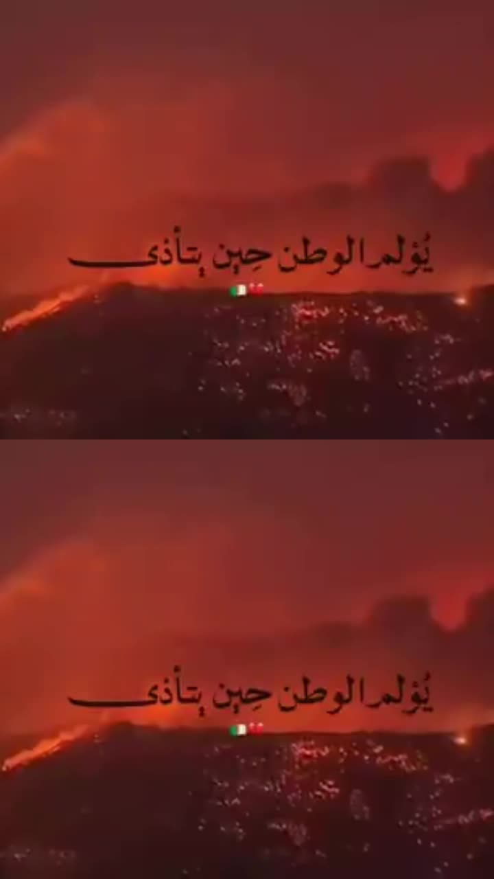 @زروالي _ سعيد 🇩🇿