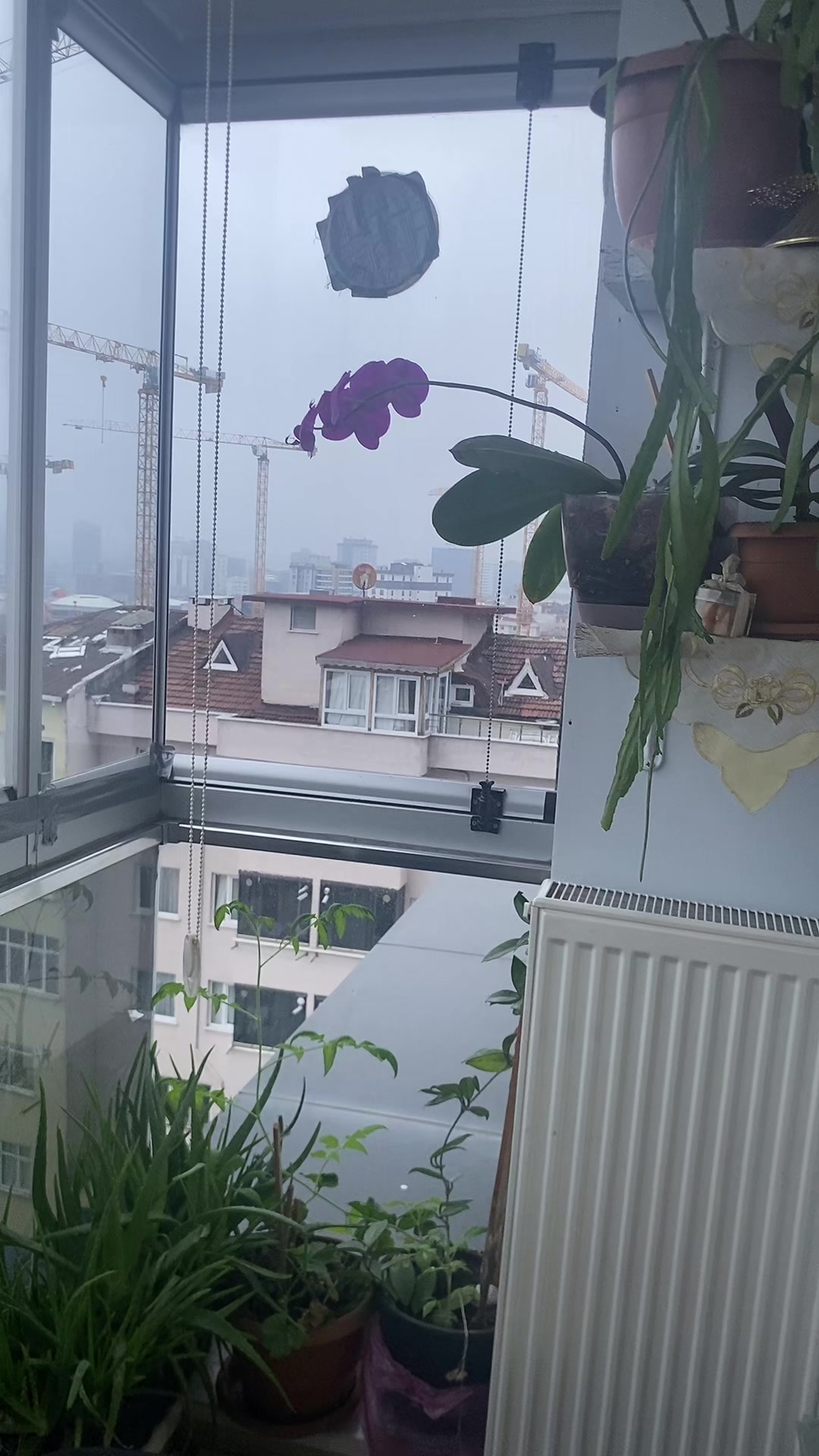 @Kıymet Yaldız