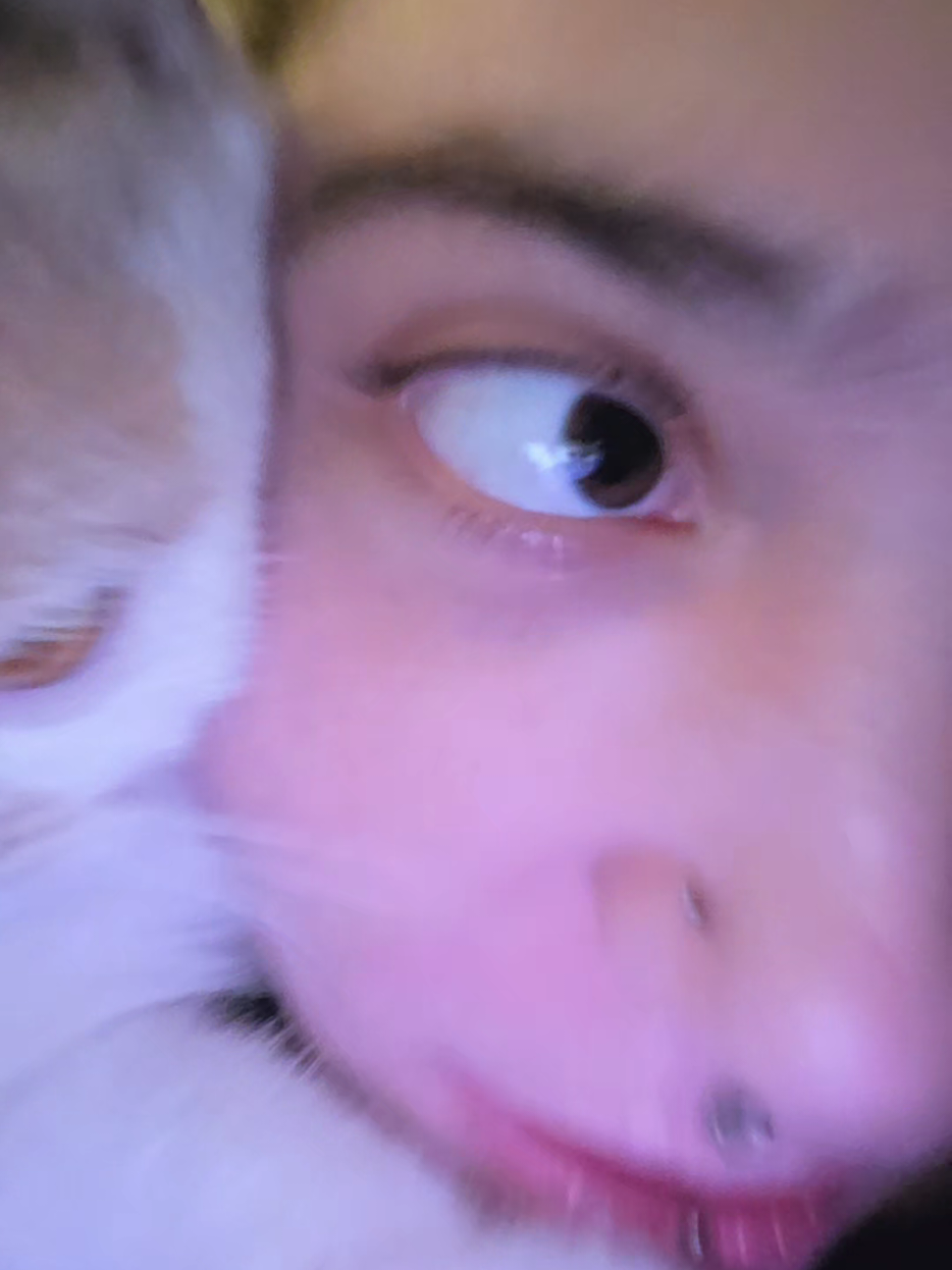 @๐ฒ๐๐๐๐ ๐๐๐๐๐๐๐
