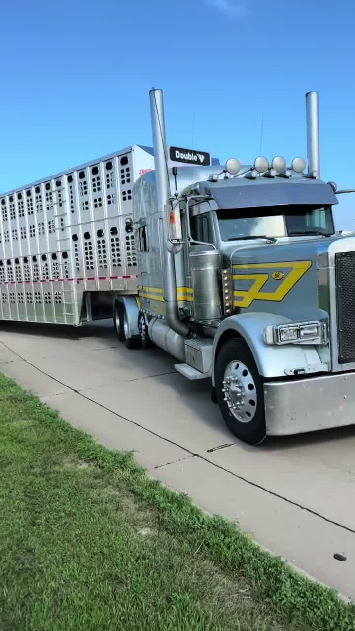 @403_BigRigs