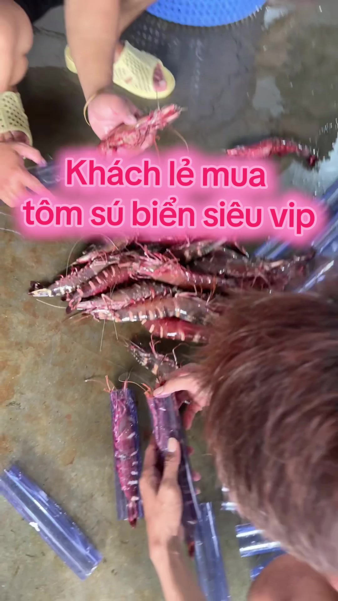 @Thịnh Sú Biển