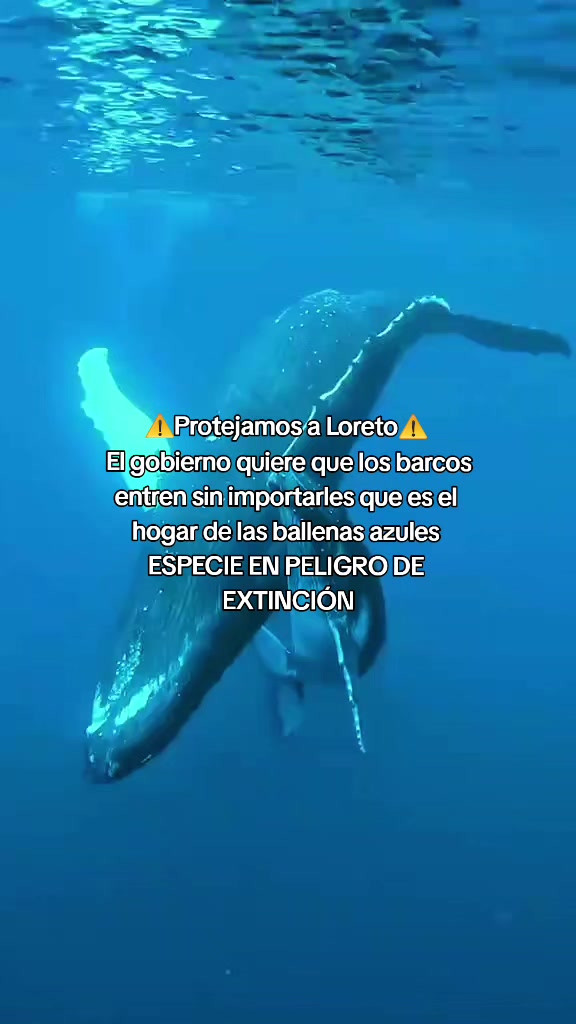 @mgbg