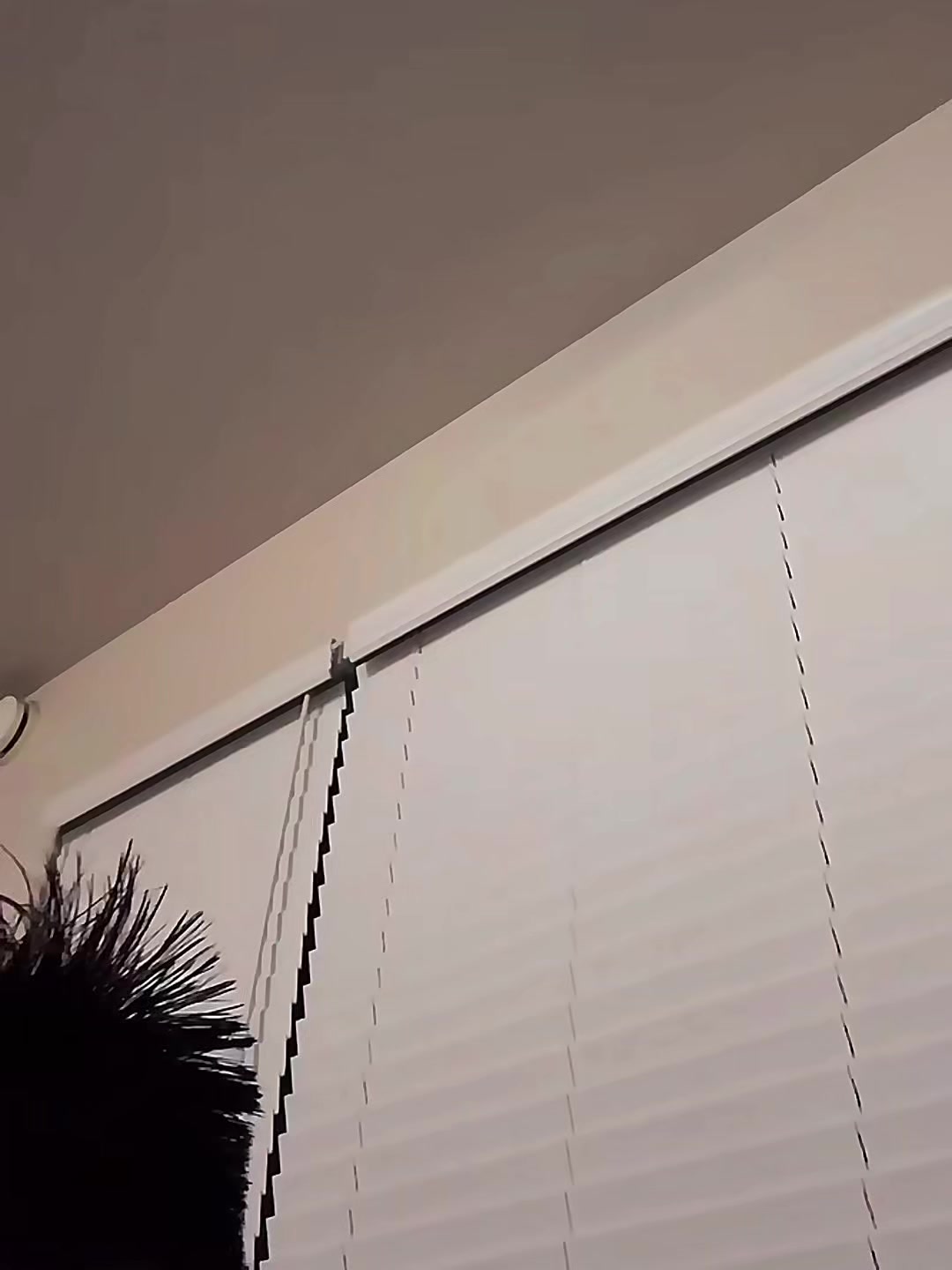 @E🥥