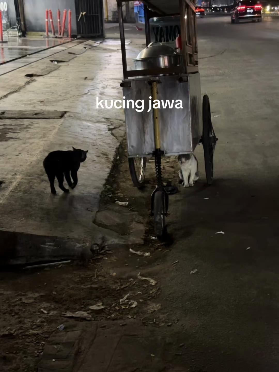 @Indira | Jajan & Jalan Kemana?