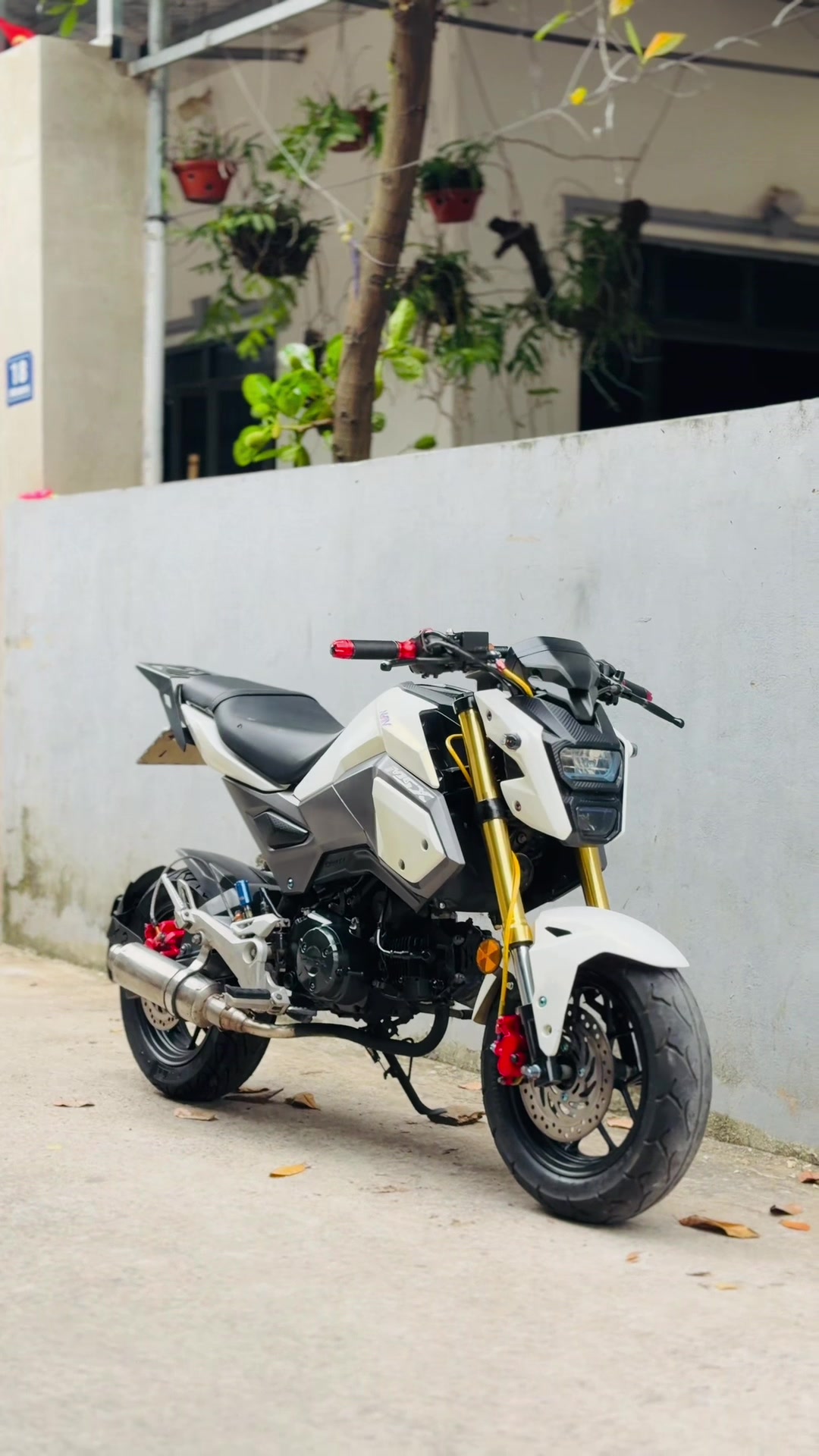@kiên motor ( Hà Nội ) ✅