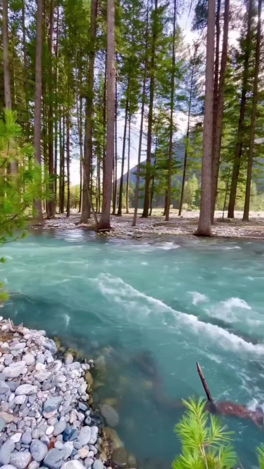 @Maricar Siapno
