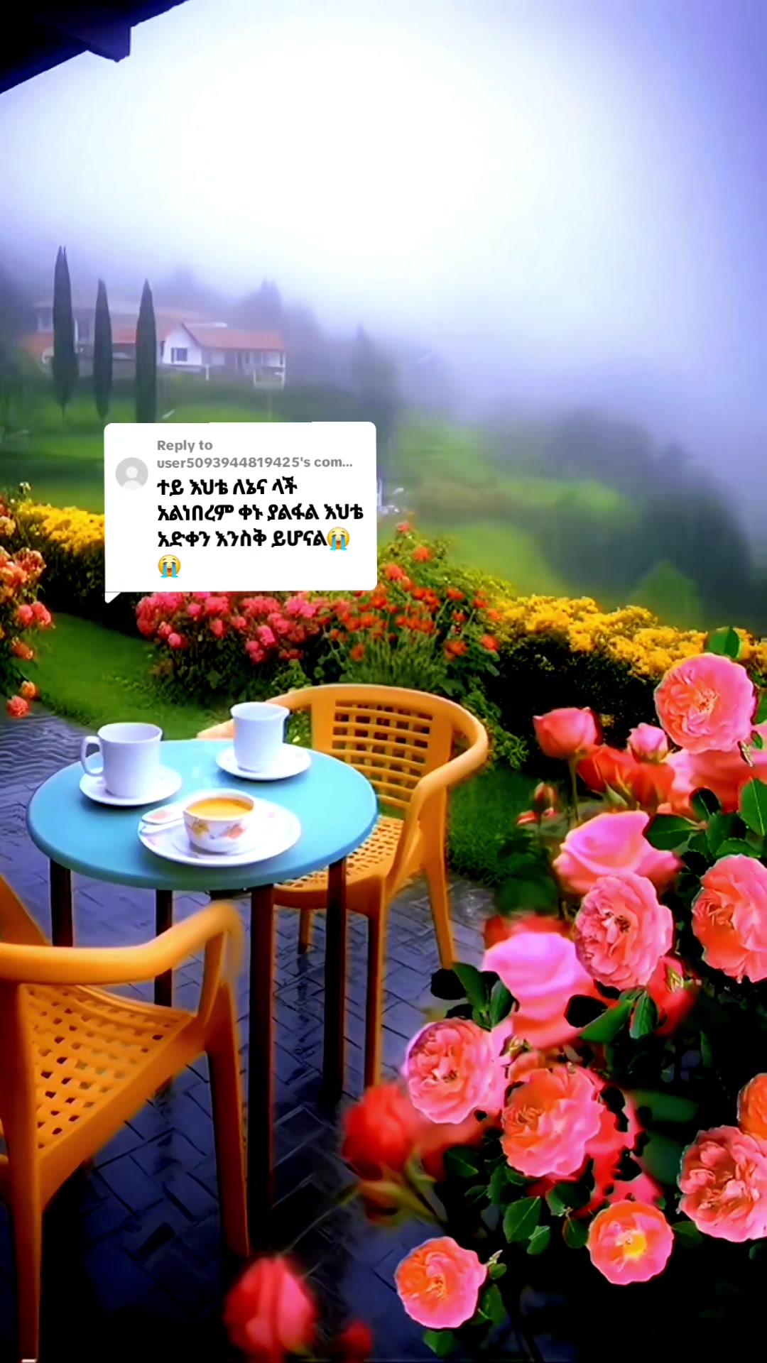 @M ነኝ ሲገፉኝ ወድቄ ለመቆም የሞከርኩ