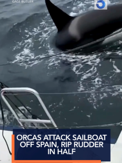 @KTLA 5 News