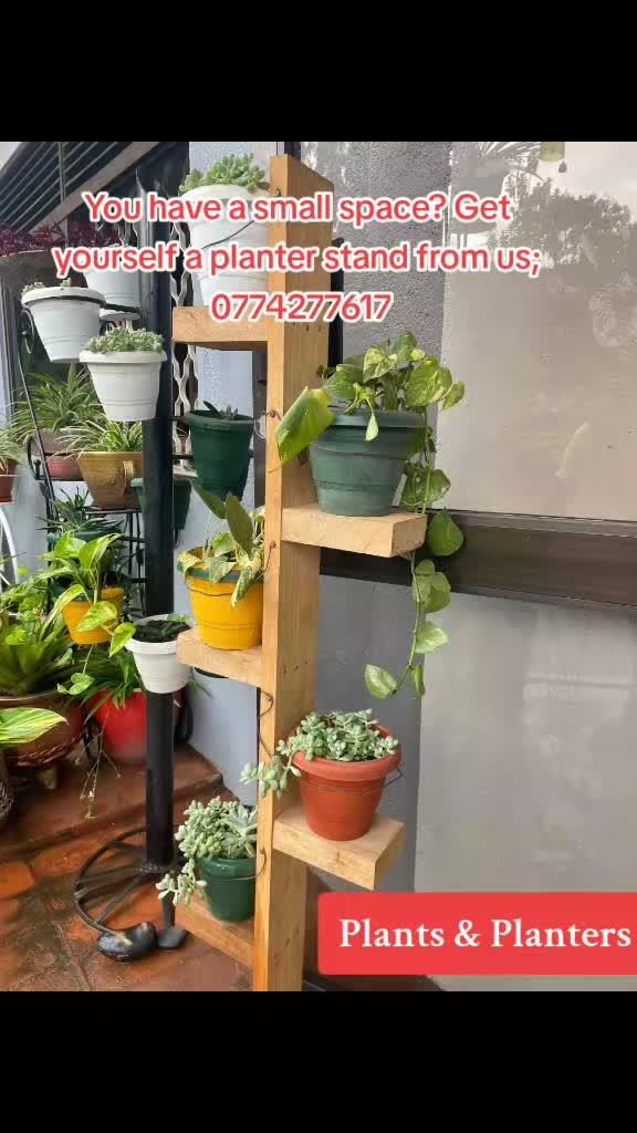 @Plants&PlantersbyChefJ (AJE)