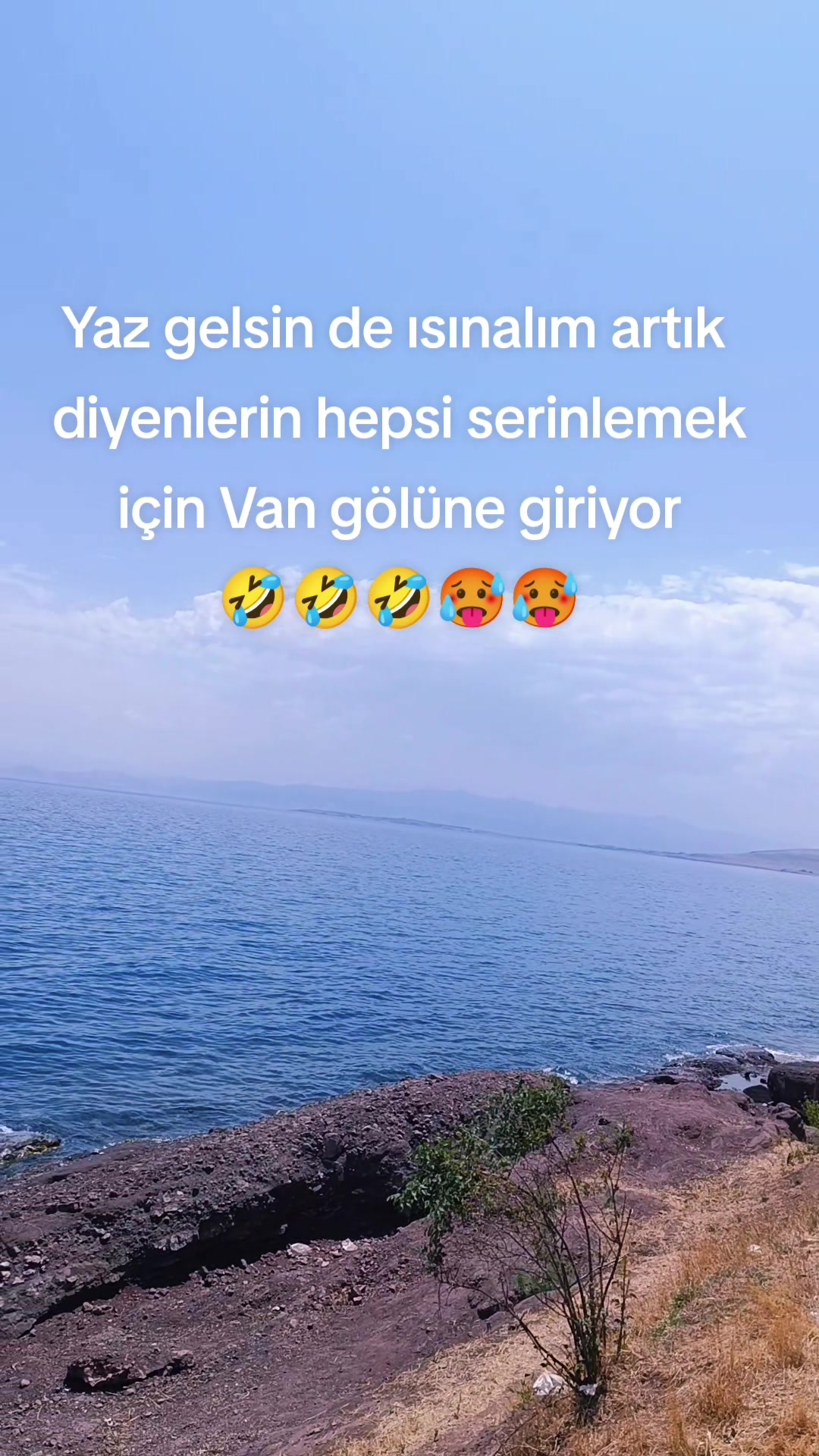 @💫𝕲𝖊𝖈𝖊 𝕺𝖑𝖚𝖓𝖈𝖆💫
