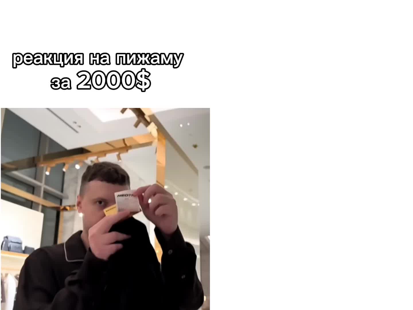 @грибовские 37
