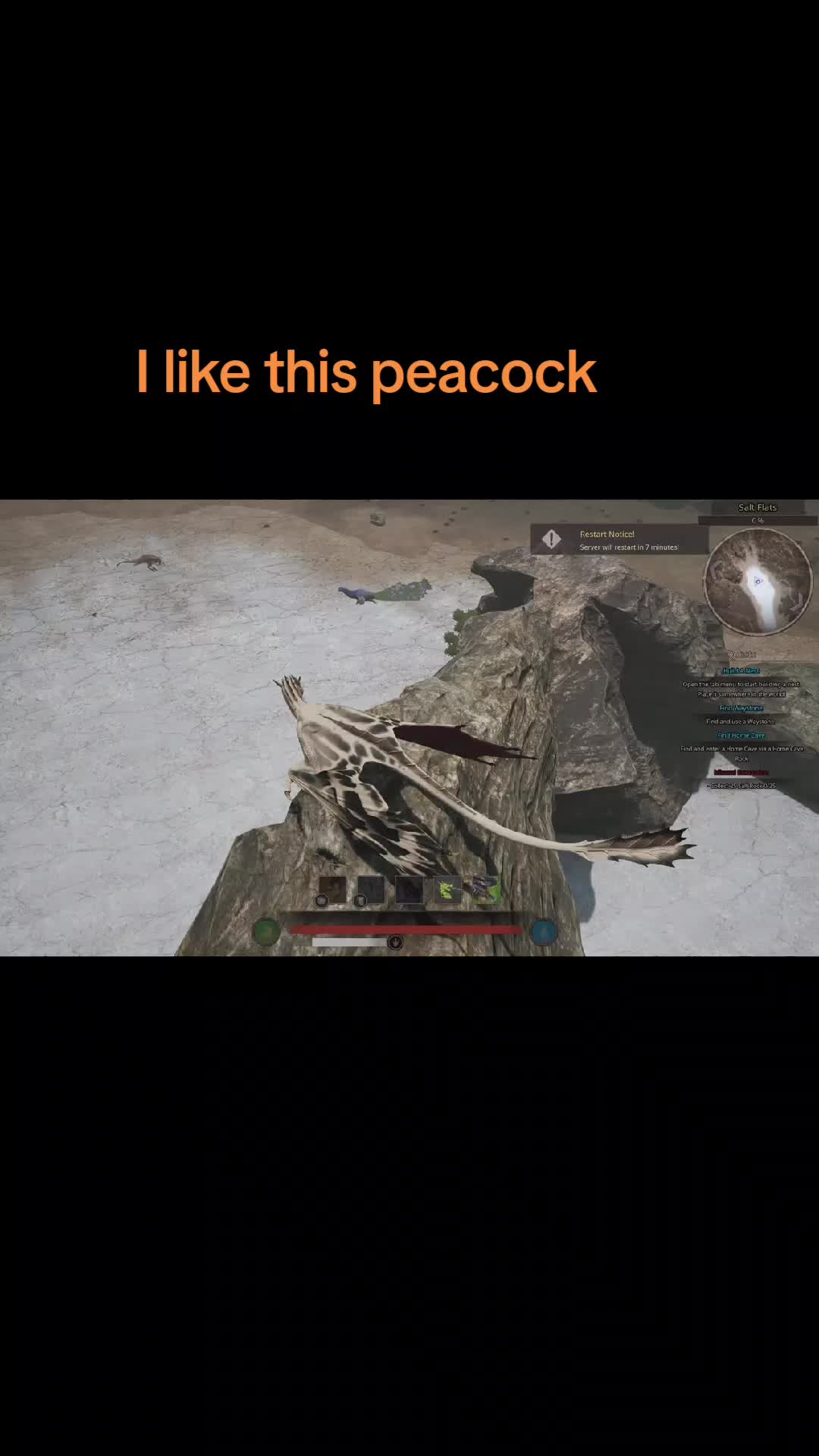 @guntherizem