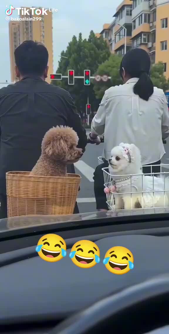 @Tika Bana Basakana