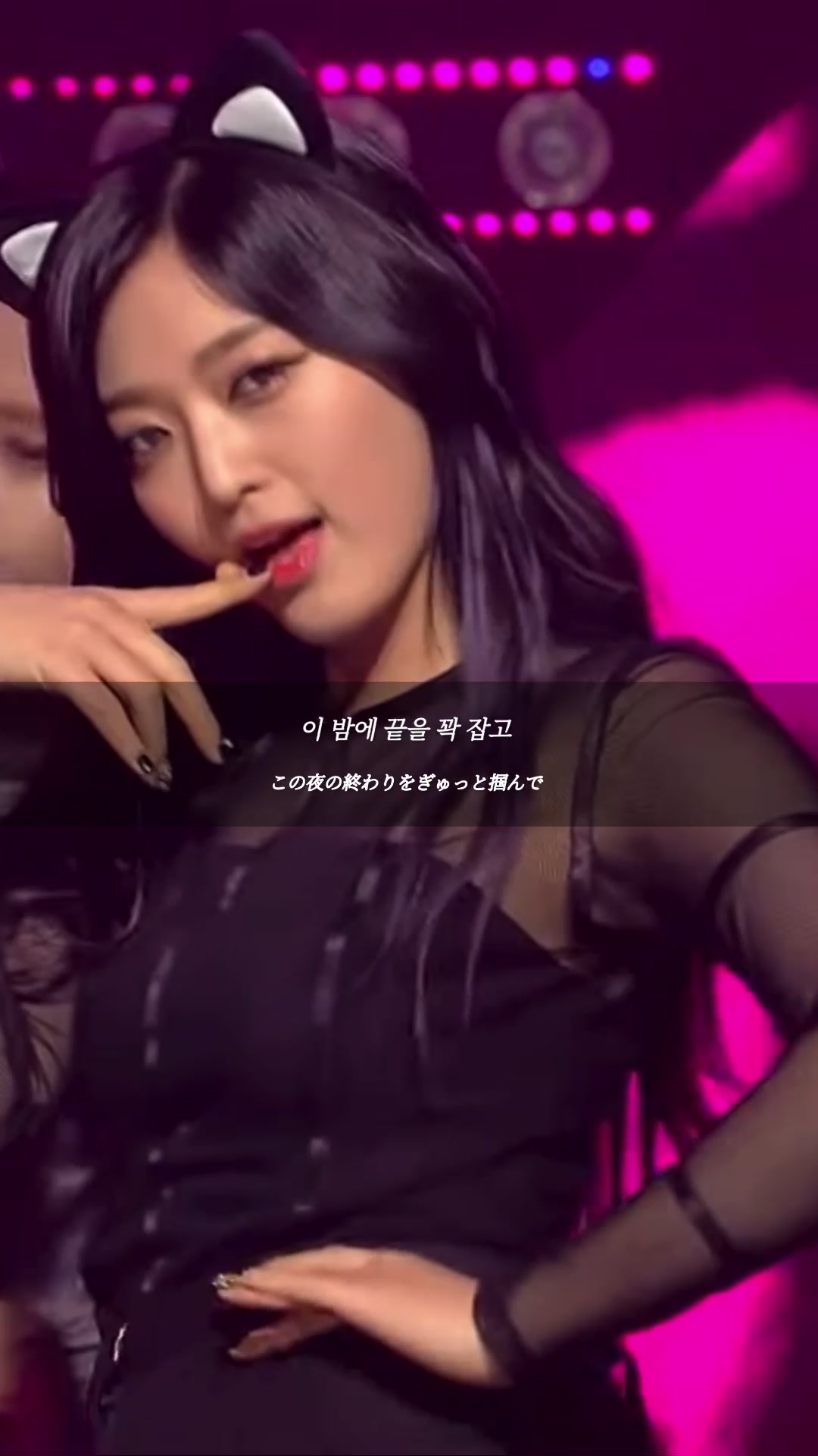 @도도솔솔라라솔🎵