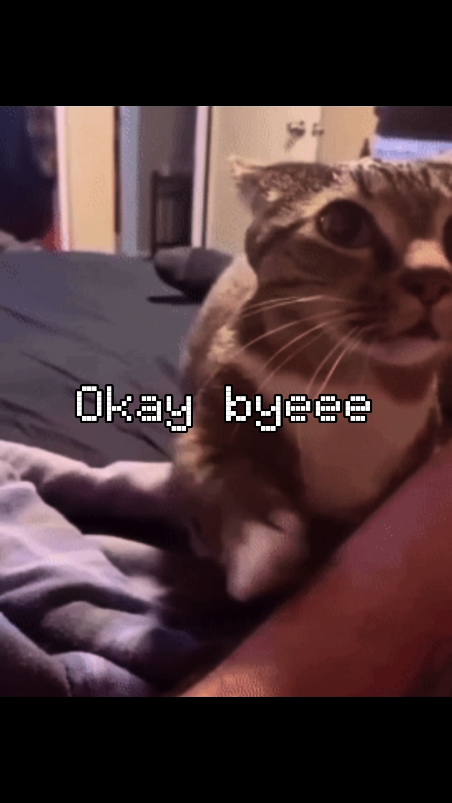 @myoz.comm