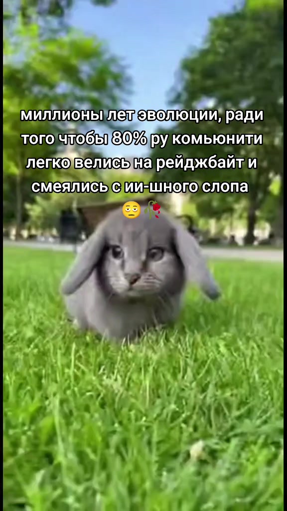 @волк с сво стрит