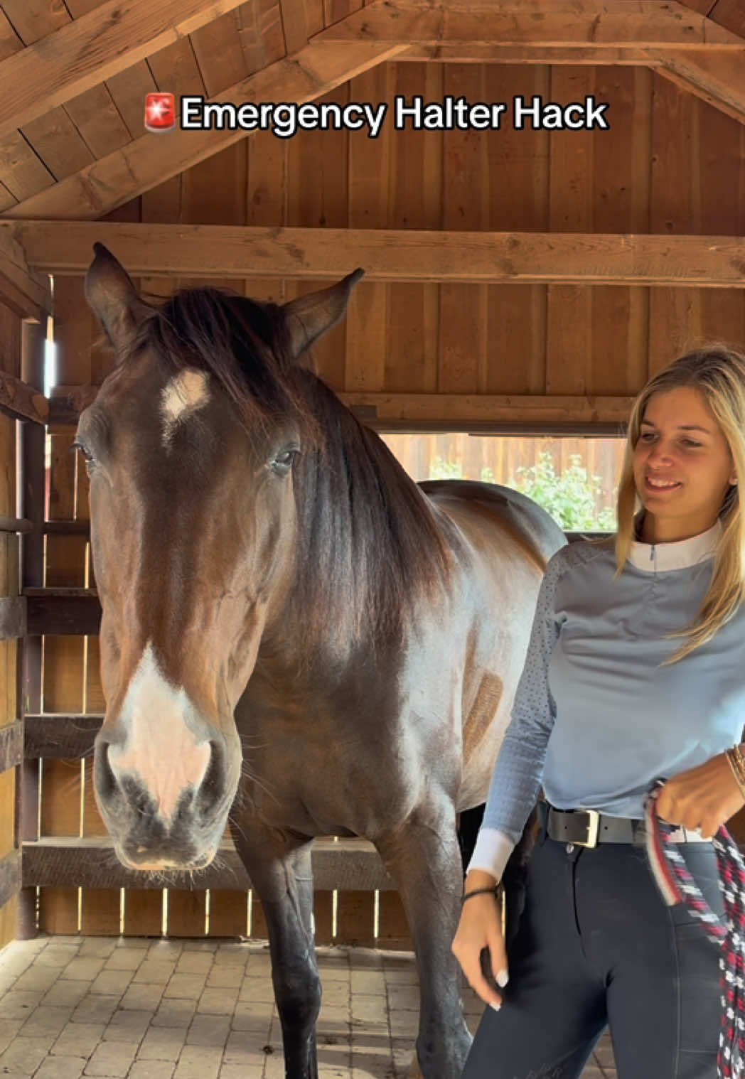 @Free Ride Equestrian