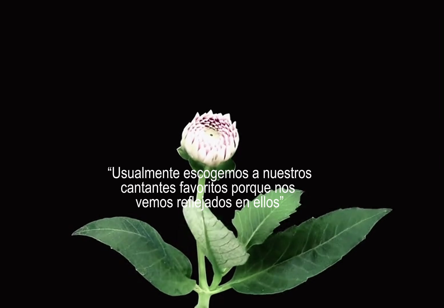 @YULIS 𐙚