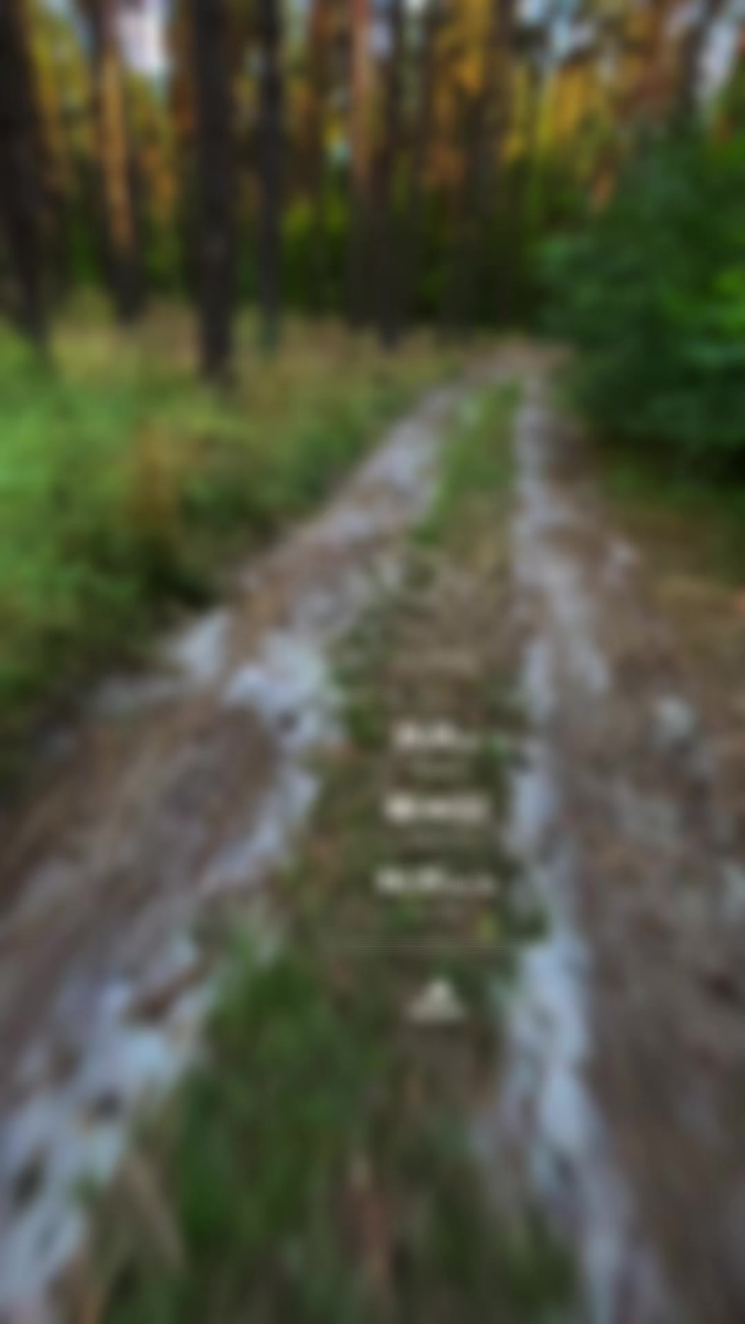 @Бодя павук 🦂🥇🏃