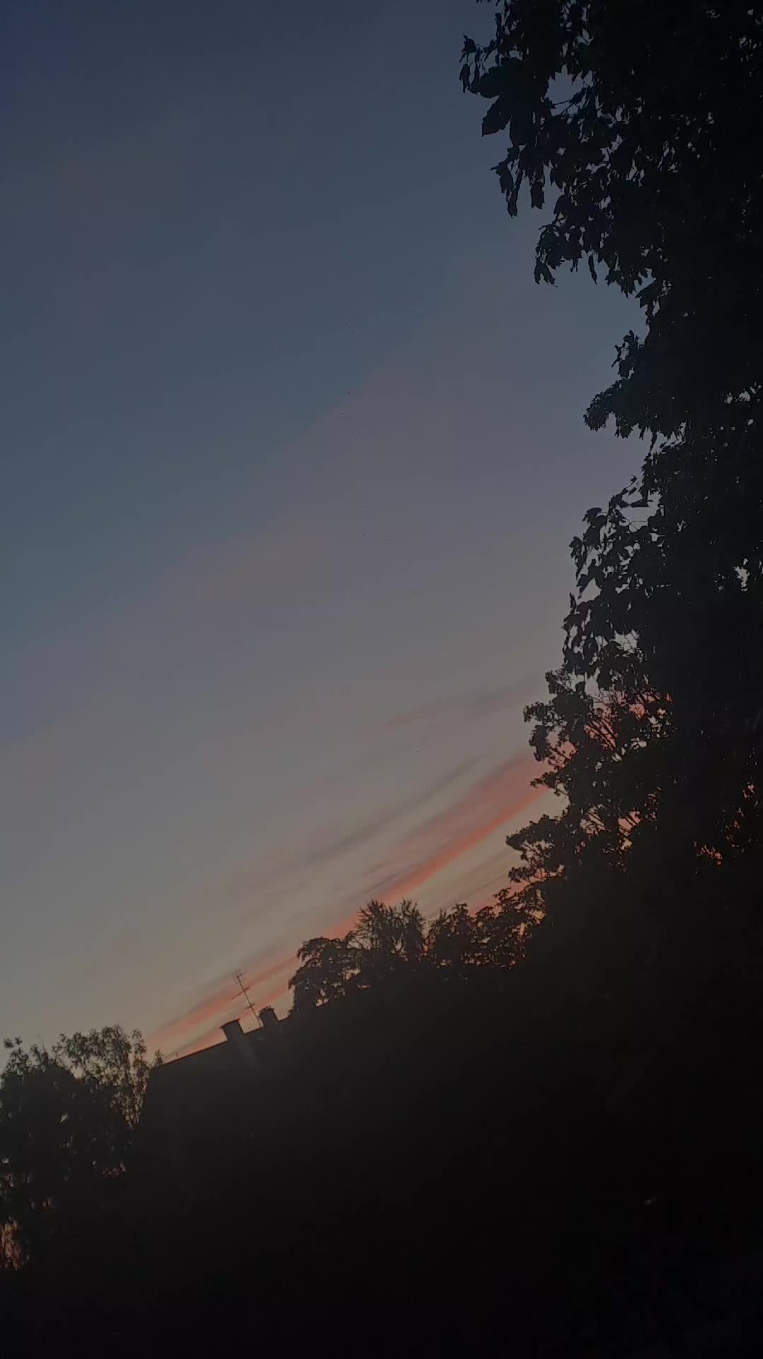 @C&eacute;libataire 💔