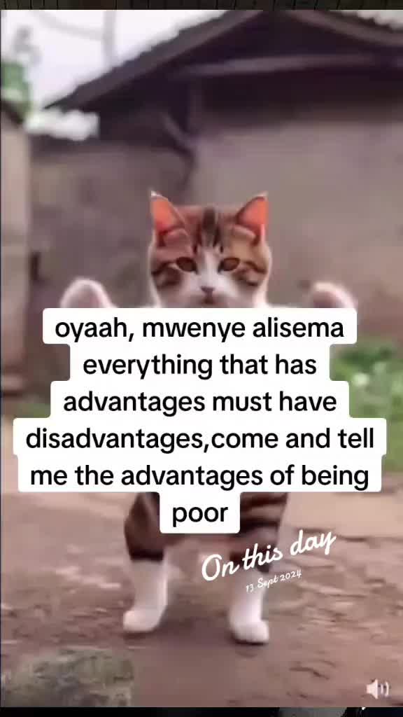 @u guy