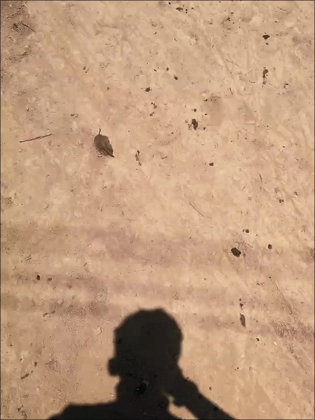 @💫 L E G E N D🦅Å R Ä Í Ñ⚔️