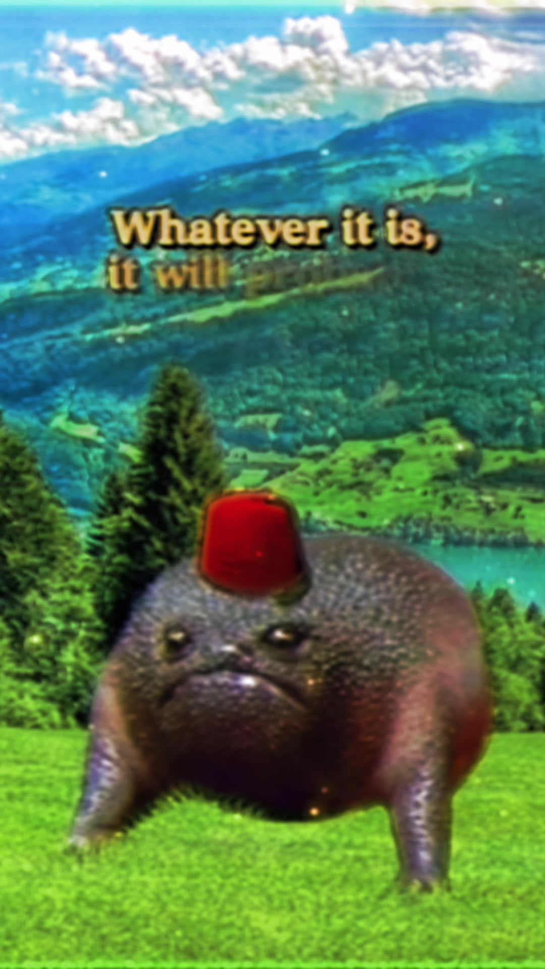 @Holy Frog Father