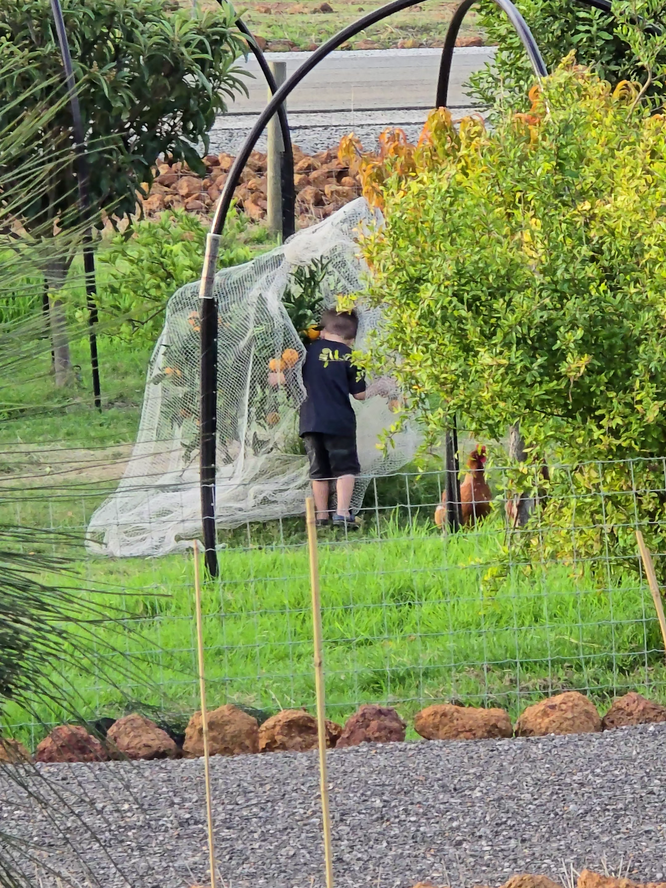 @The Cappellano Farm 🇦🇺