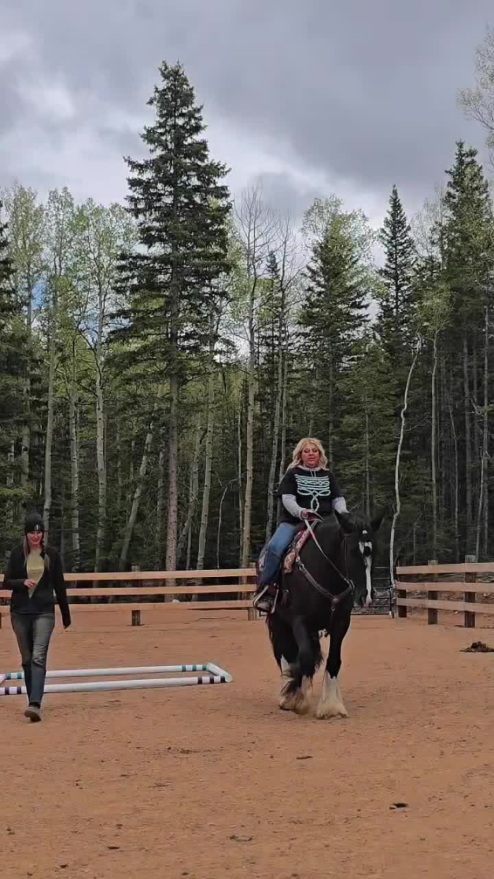 @🐎 ᔕᒪEEᑭY ᕼOᒪᒪOᗯ ᕼOᗰEᔕTEᗩᗪ 🐎