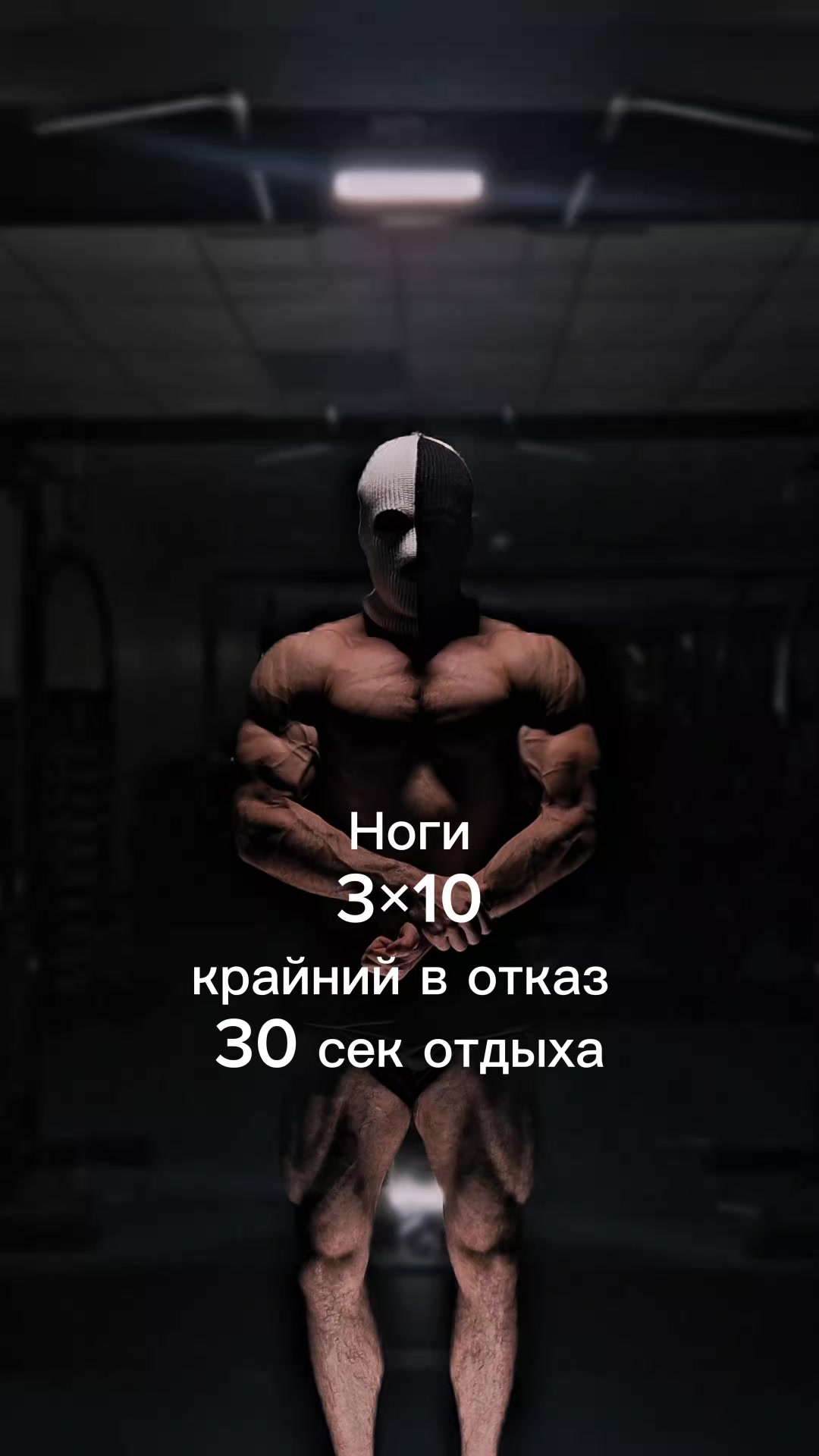 @Muscle_armour