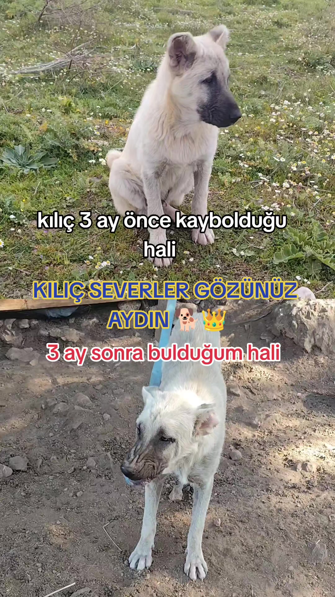 @PİSKO👉TOMBİK{45}