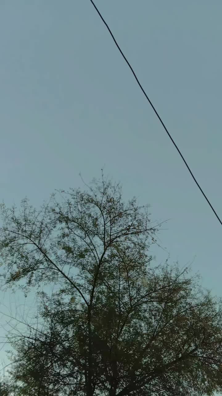 @Arman 786