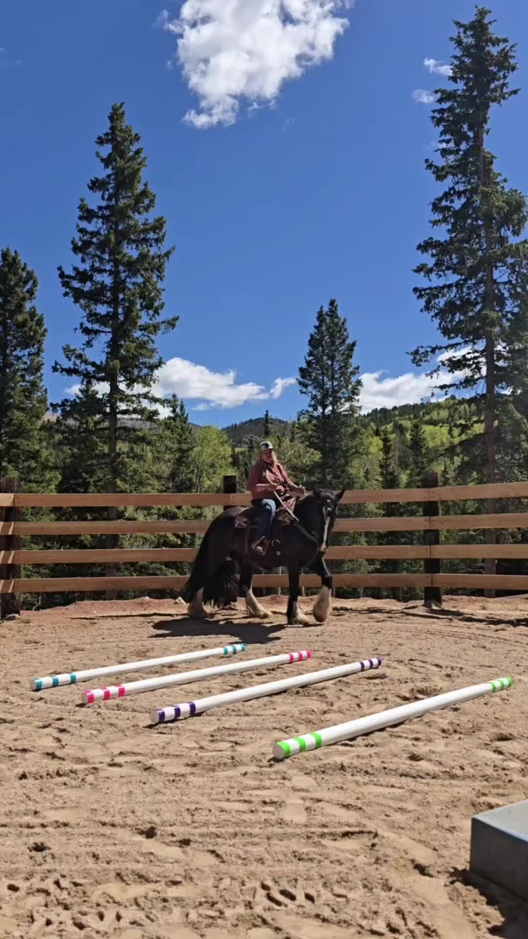 @🐎 ᔕᒪEEᑭY ᕼOᒪᒪOᗯ ᕼOᗰEᔕTEᗩᗪ 🐎