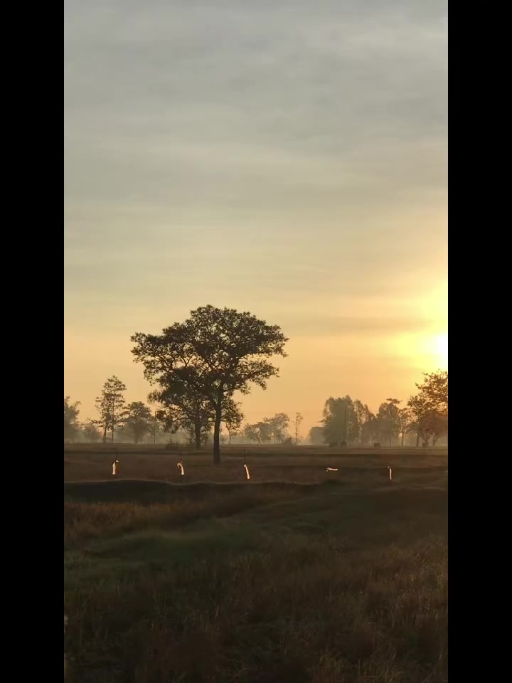 @นับตังค์