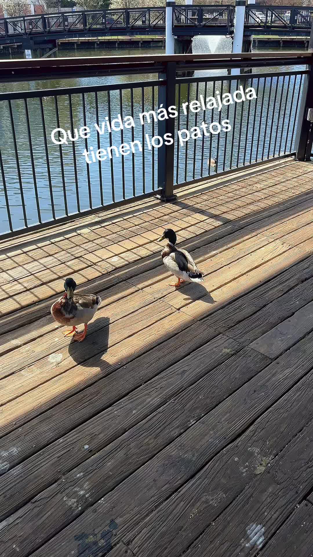 @jacquelin3s