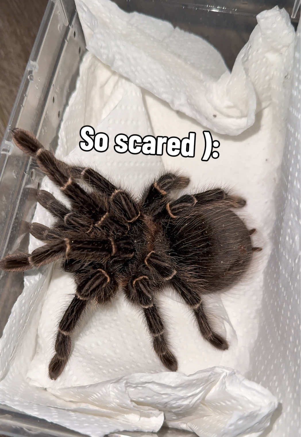 @Kara