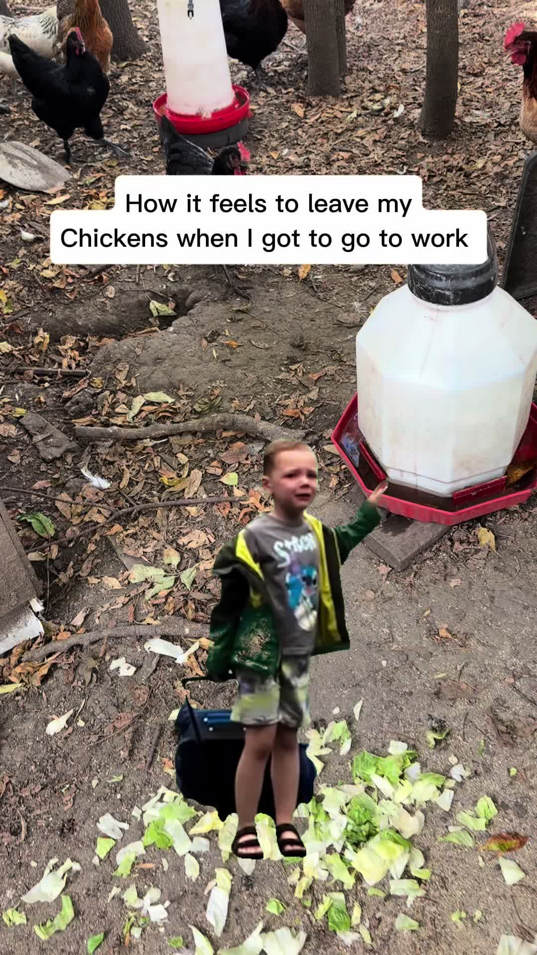 @NonniesFunnyFarm
