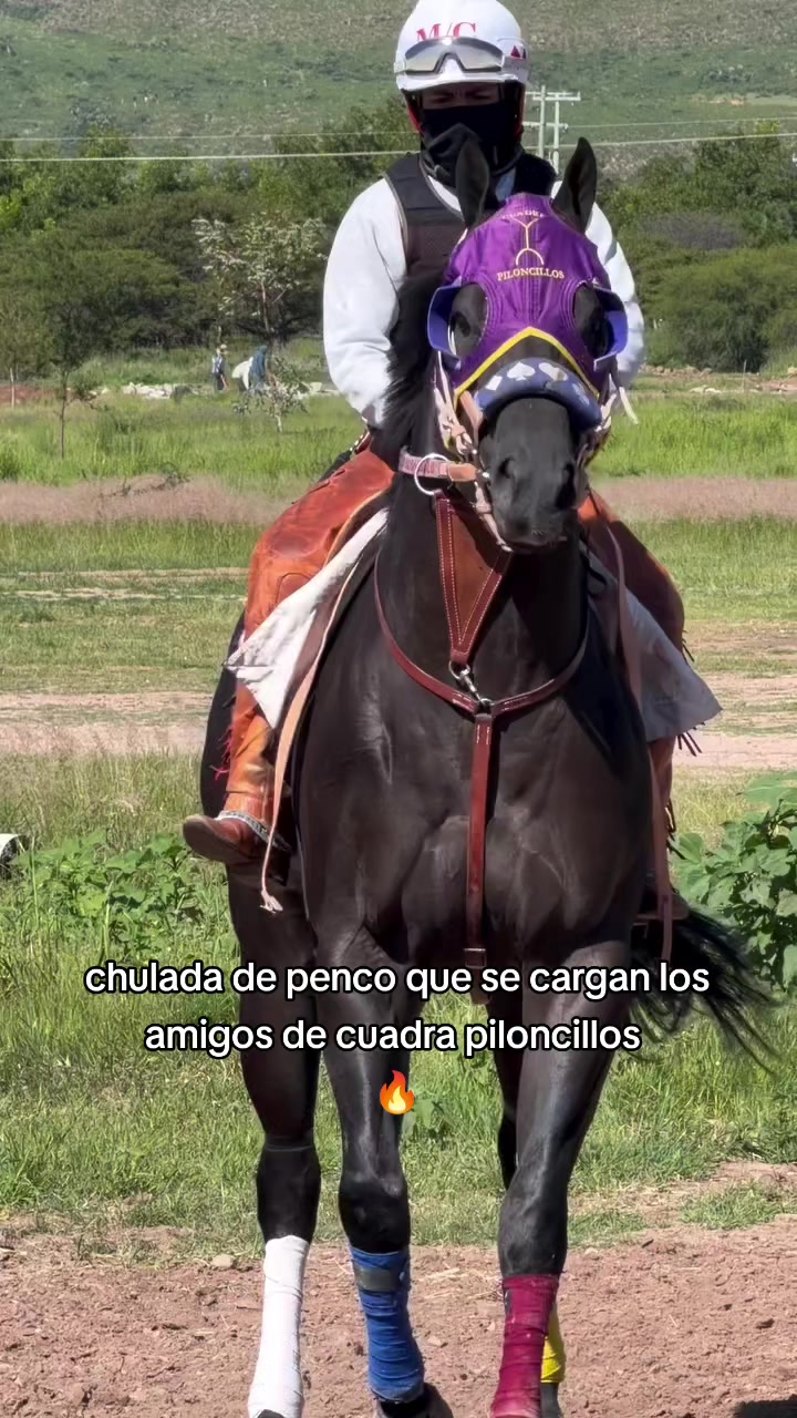 @carriles altos de jalisco🐎