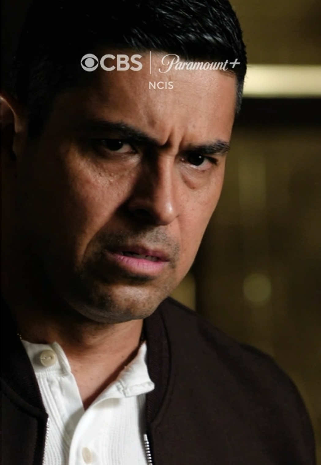 @The NCISverse